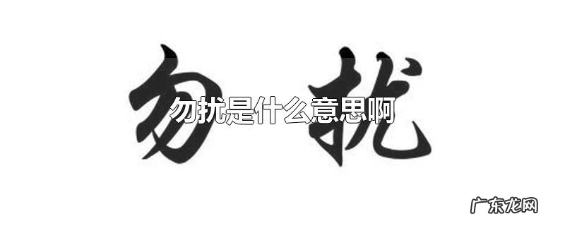 勿扰是什么意思啊