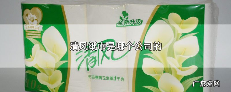 清风纸巾是哪个公司的