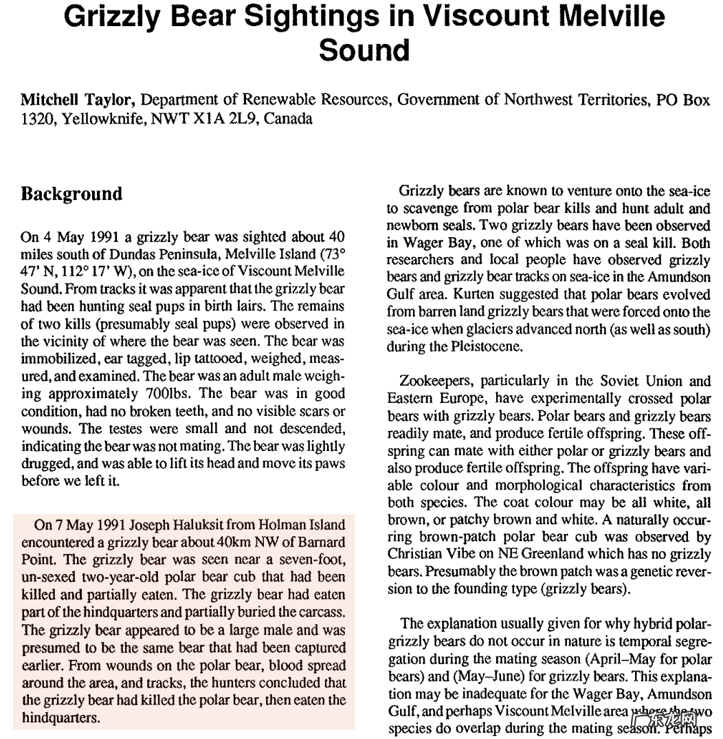 北极熊vs科迪亚克棕熊