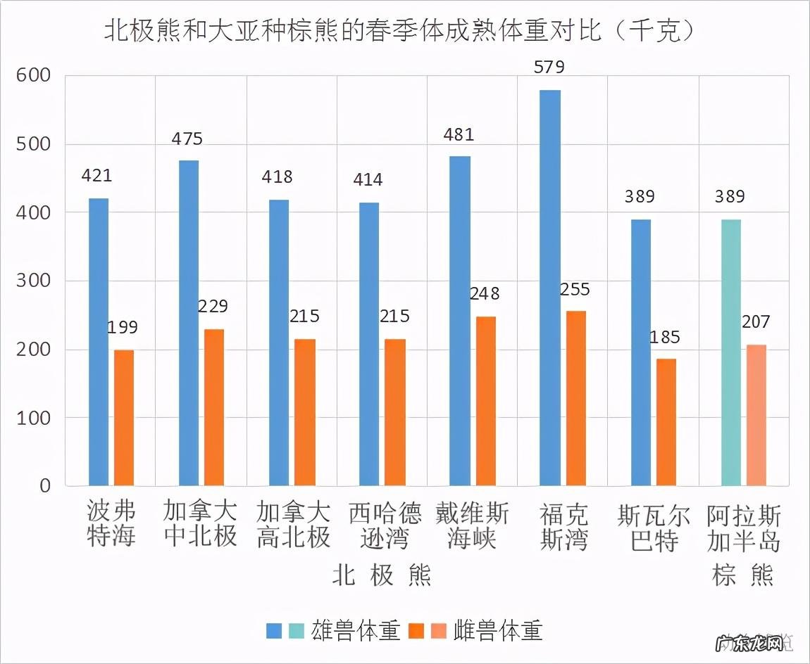 北极熊vs科迪亚克棕熊