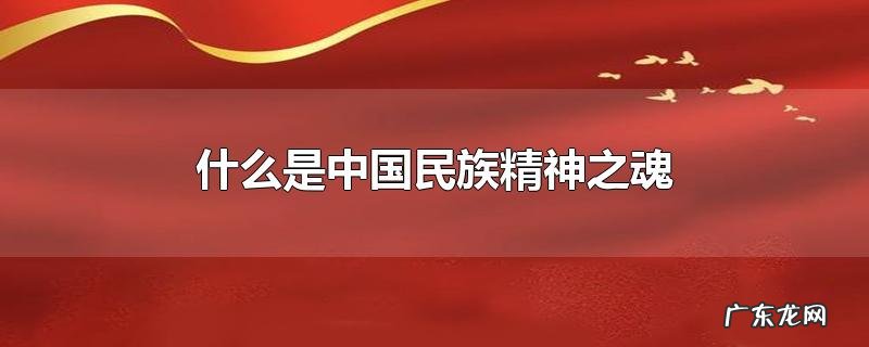 什么是中国民族精神之魂