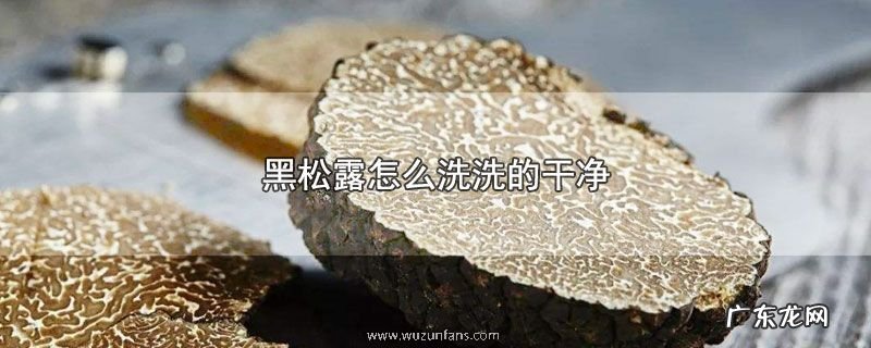 黑松露怎么洗洗的干净