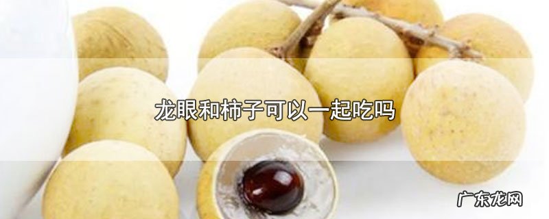 龙眼和柿子可以一起吃吗