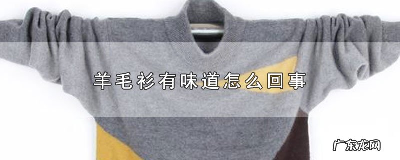 羊毛衫有味道怎么回事