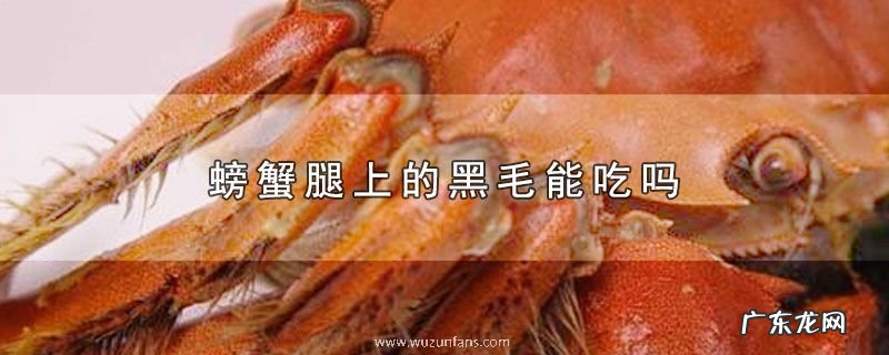 螃蟹腿上的黑毛能吃吗