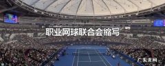 职业网球联合会缩写
