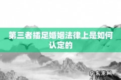 第三者插足婚姻法律上是如何认定的