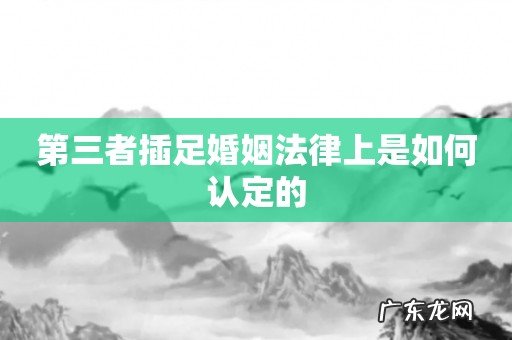 第三者插足婚姻法律上是如何认定的