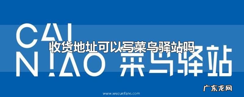 收货地址可以写菜鸟驿站吗