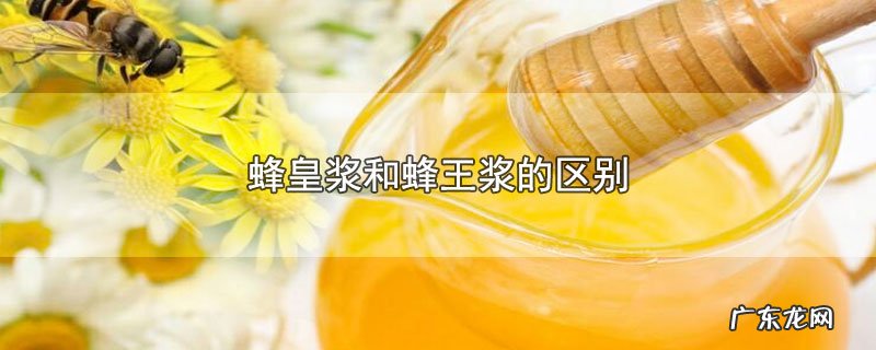 蜂皇浆和蜂王浆的区别