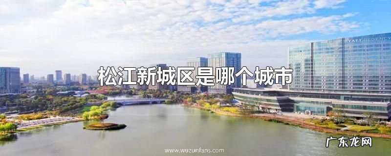 松江新城区是哪个城市