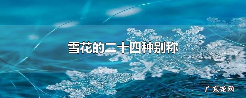 雪花的二十四种别称