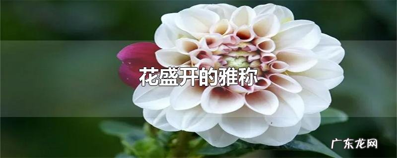 花盛开的雅称