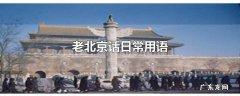 老北京话日常用语