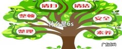什么是6s