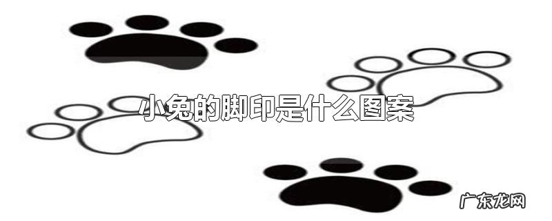 小兔的脚印是什么图案