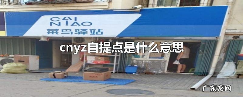 cnyz自提点是什么意思