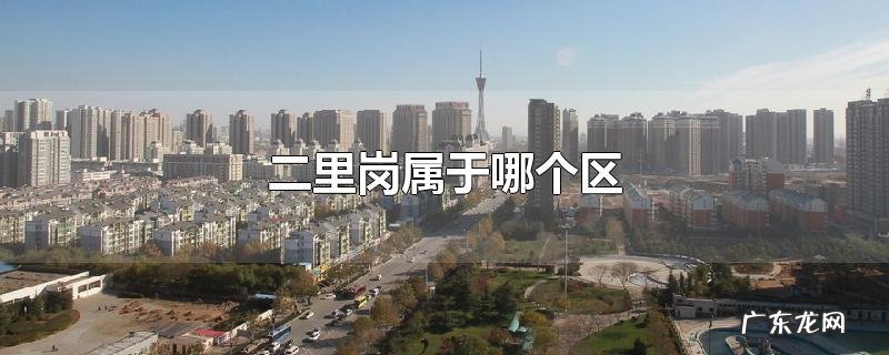 二里岗属于哪个区