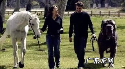 扭玻利顿 意大利扭玻利顿图片