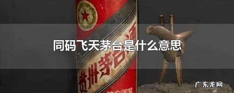 同码飞天茅台是什么意思
