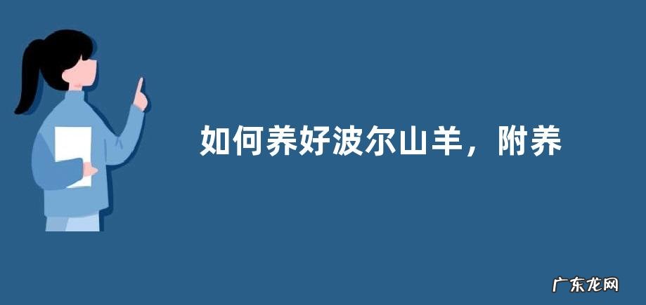 如何养好波尔山羊，附养殖方法