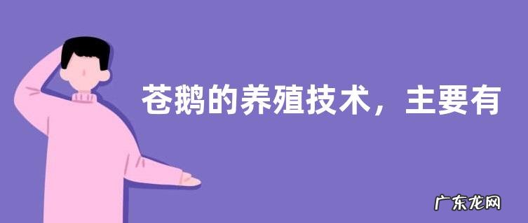 苍鹅的养殖技术，主要有三个方面