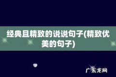 精致优美的句子 经典且精致的说说句子