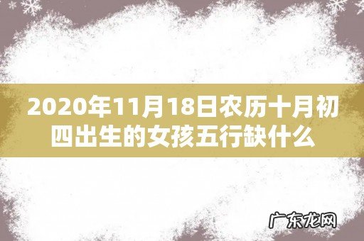2020年11月18日农历十月初四出生的女孩五行缺什么