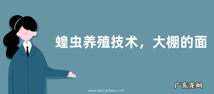 蝗虫养殖技术,大棚的面积取决于蝗虫的数量
