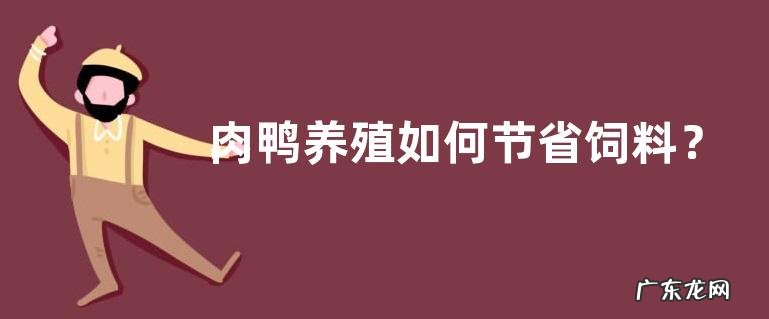 肉鸭养殖如何节省饲料?饲养优良品种