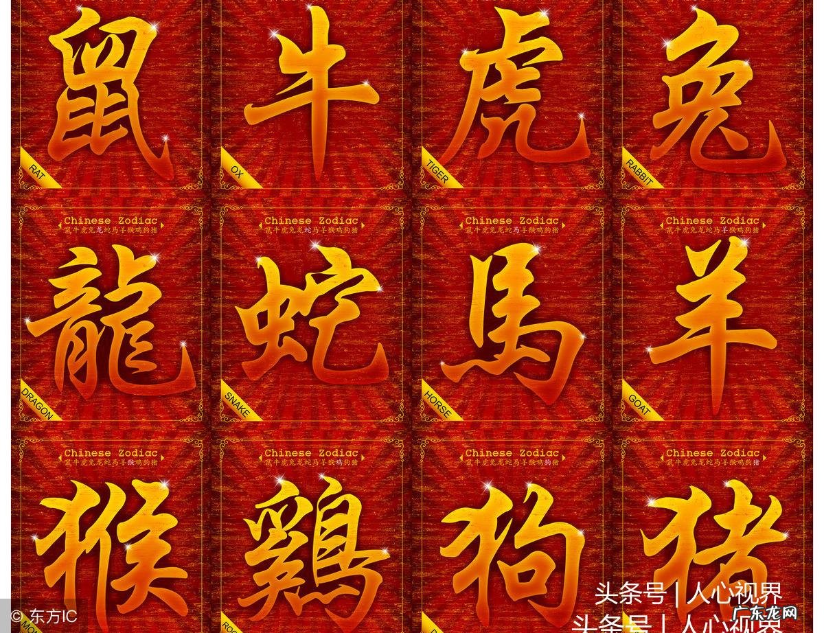 关于龙的手抄报内容 关于风水龙的手抄报内容