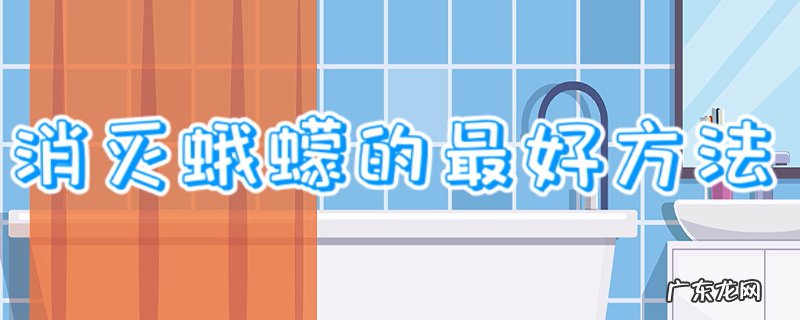 消灭蛾蠓的最好方法
