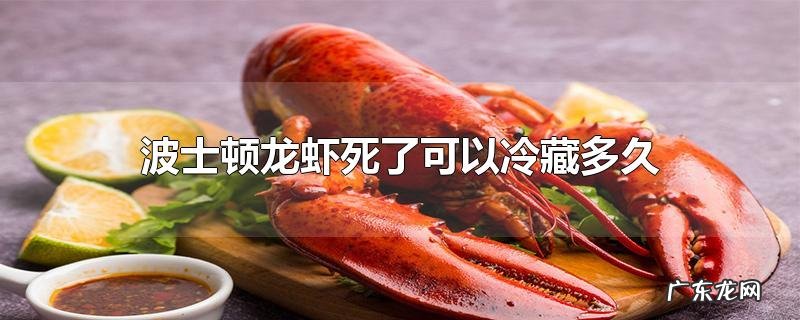 波士顿龙虾死了可以冷藏多久