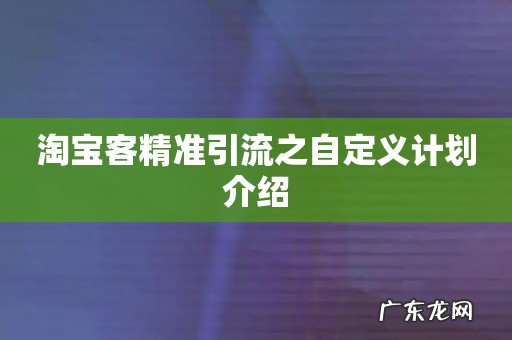 淘宝客精准引流之自定义计划介绍