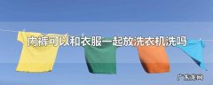 内裤可以和衣服一起放洗衣机洗吗