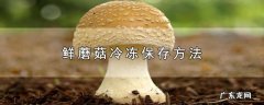 鲜蘑菇冷冻保存方法