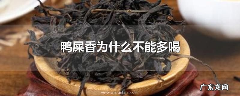 鸭屎香为什么不能多喝