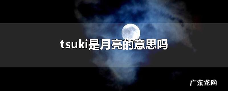 tsuki是月亮的意思吗