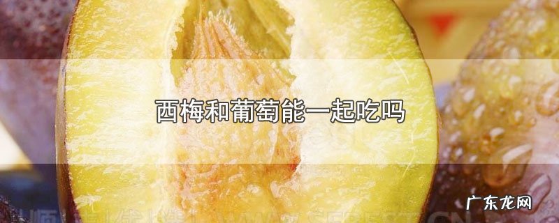 西梅和葡萄能一起吃吗