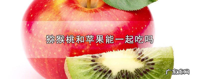 猕猴桃和苹果能一起吃吗
