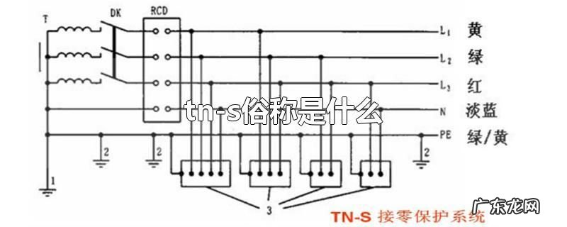 tn-s俗称是什么