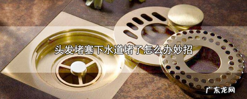 头发堵塞下水道堵了怎么办妙招