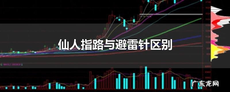 仙人指路与避雷针区别
