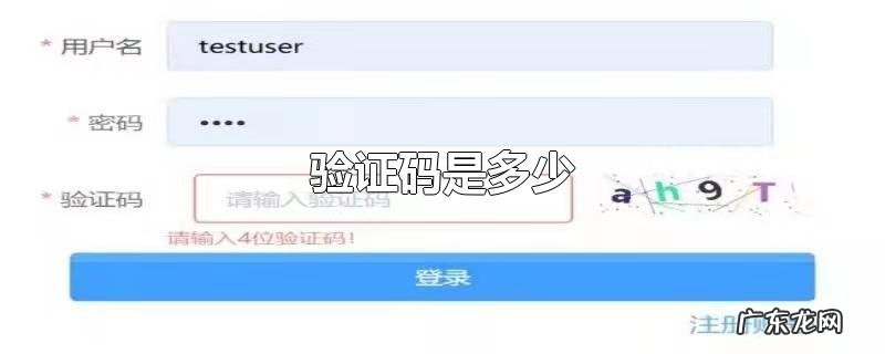 验证码是多少