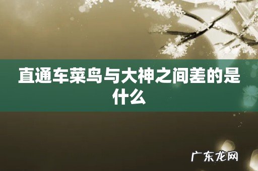 直通车菜鸟与大神之间差的是什么