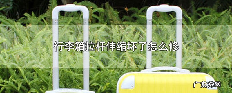 行李箱拉杆伸缩坏了怎么修
