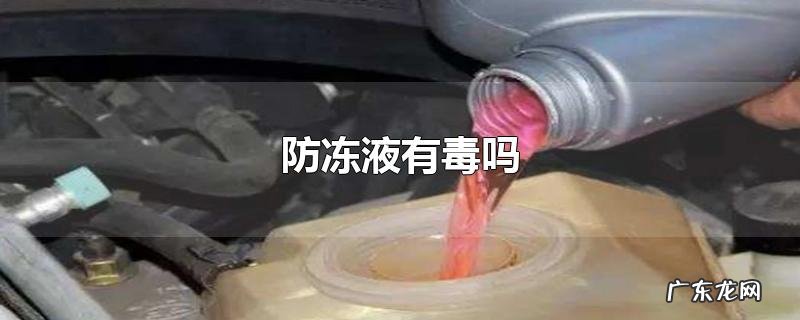 防冻液有毒吗