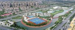 庄市属于镇海吗