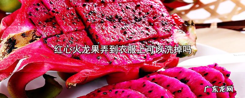 红心火龙果弄到衣服上可以洗掉吗