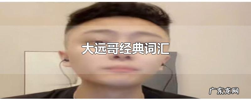 大远哥经典词汇